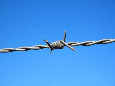 bodljikava žica, žica, ograđeno, metala, ograda, sigurnost, trn