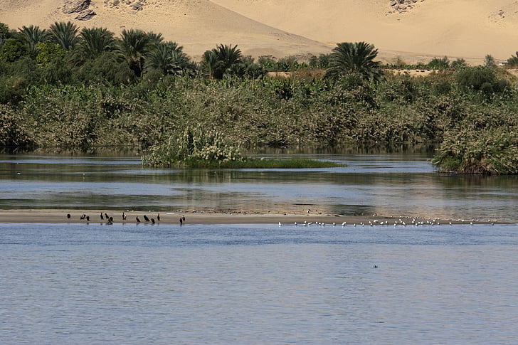 Nil, Égypte, tranquil, rivière, dunes de sable, paysage, Oasis