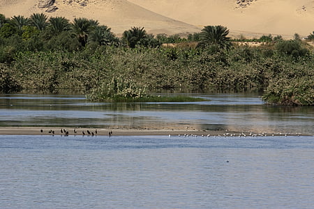 nile, egypt, tranquil, river, sand dunes, landscape, oasis