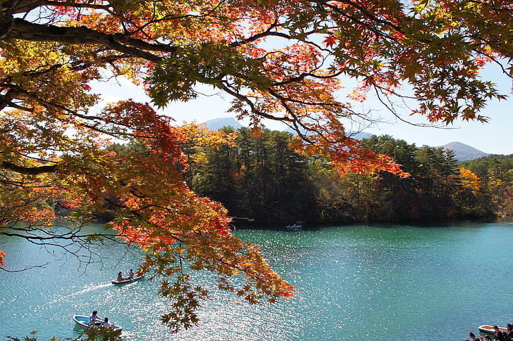 mount bandai, urabandai, goshiki-numa, autumn, leaf, landscape, green