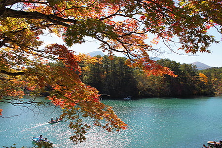 kalno bandai, Urabandai, goshiki-numa, rudenį, lapų, kraštovaizdžio, žalia