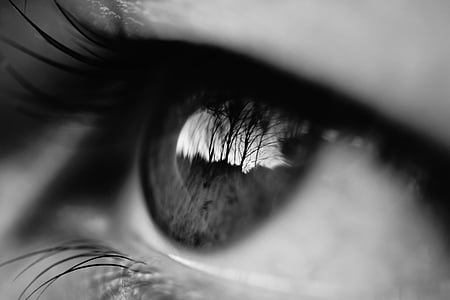 black-and-white, close-up, eye, eyelashes