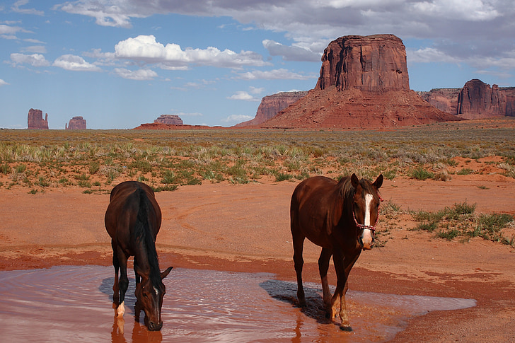 Monumen valley, Taman Nasional, Arizona, mahal, kuda, Amerika Serikat