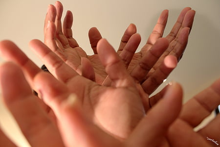 kädet, kehon, sormet, kämmenpuoli