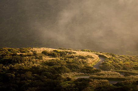 hill, landscape, road, nature, forest, fog, outdoors