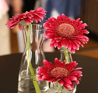 blomster, Gerbera, blomst, farver, vase, buket, tabel