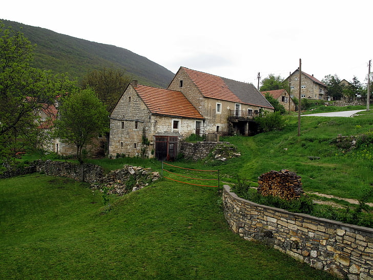 priluka village, Bosnien-Hercegovina, landdistrikter, Village, hus, landskab, grøn
