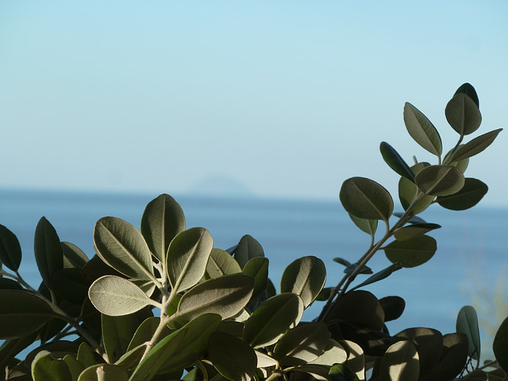 Sicilien, havet, ferie