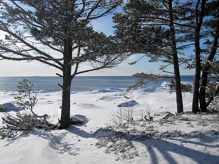 paisagem, Inverno, Finlandês, Nevado, natureza, Horizon, gelada