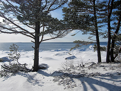 paisaje, invierno, Finlandés, cubierto de nieve, naturaleza, Horizon, helado