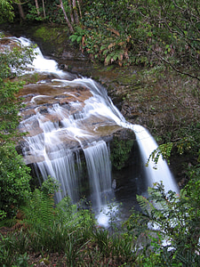 Tasmanien, vattenfall, Australien, vatten, naturen, landskap