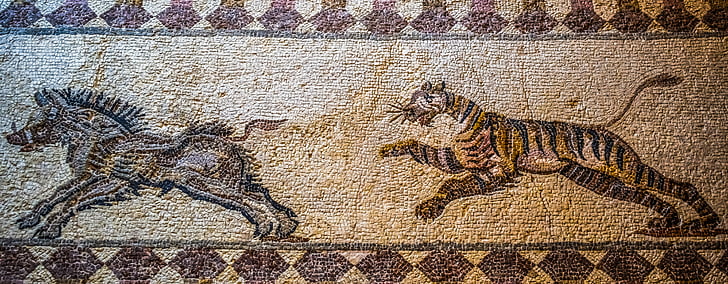 tigris vadászat vaddisznó, mozaik, padló mozaik, továbbra is, ősi, régészet, civilizáció