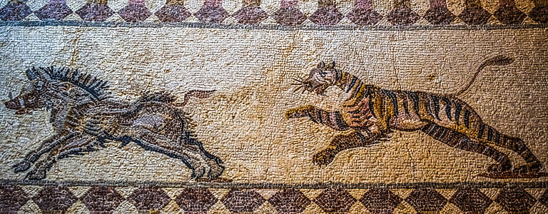 Kančí lovu tygra, mozaika, podlahové mozaiky, zůstává, starověké, archeologie, civilizace