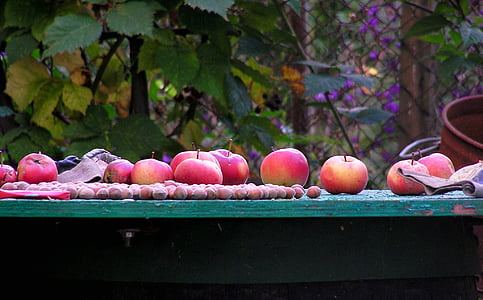 jabłka, jesień, owoce, orzechy laskowe