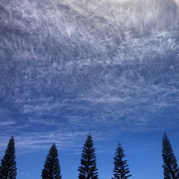 trees, nature, landscape, sky, cloud, outdoor, scenery