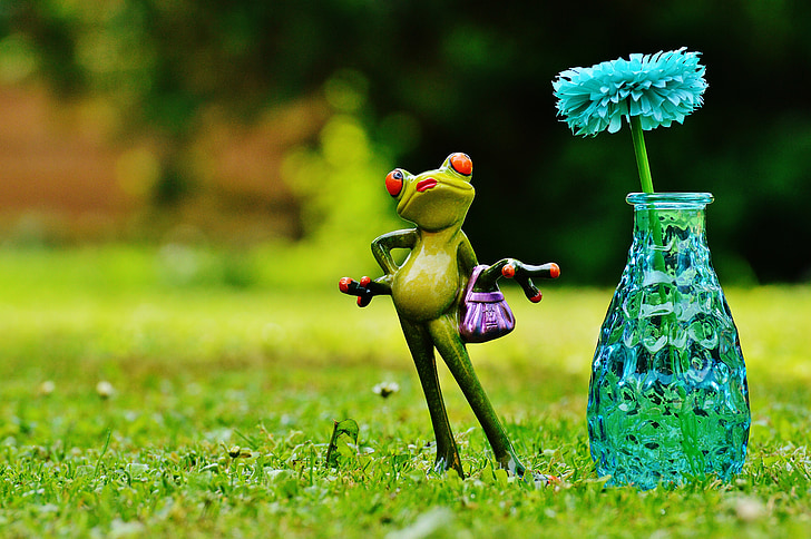 ваза, цвете, жаба, Смешно, Сладък, Сладко, ливада