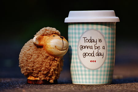 schapen, mooie dag, om te gaan, vreugde, koffie, Beker, Gelukkig