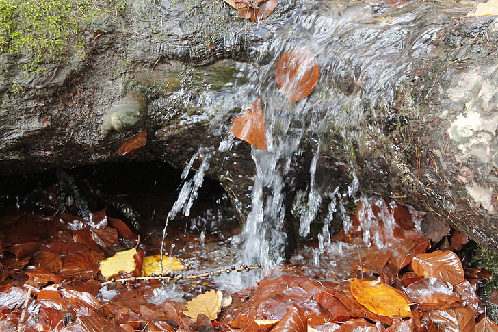 rudenį, vandens, akmuo, Rokas, rudens nuotaika, lapai, Gamta