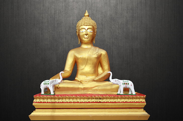 meditando buddha, Buda dourado, Zen, m, meditação, Ásia, budista