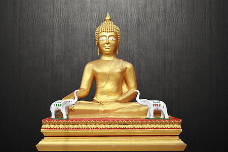 meditating buddha, golden buddha, zen, m, meditation, asia, buddhist