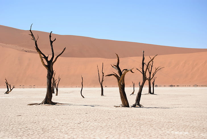 vlei mort, Namíbia, desert de, dunes, sorra, sec, Àfrica