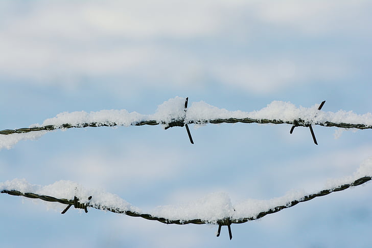 snow, barbed wire, snowy, winter, wintry, prickly, cold