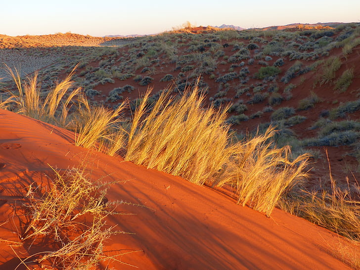 Pustynia Namib, Roter sand, gry kolor, Pustynia, zachód słońca, wydmy, Natura