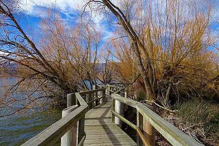 blue sky, branches, bridge railing, countryside, dried leaves, grass, lake
