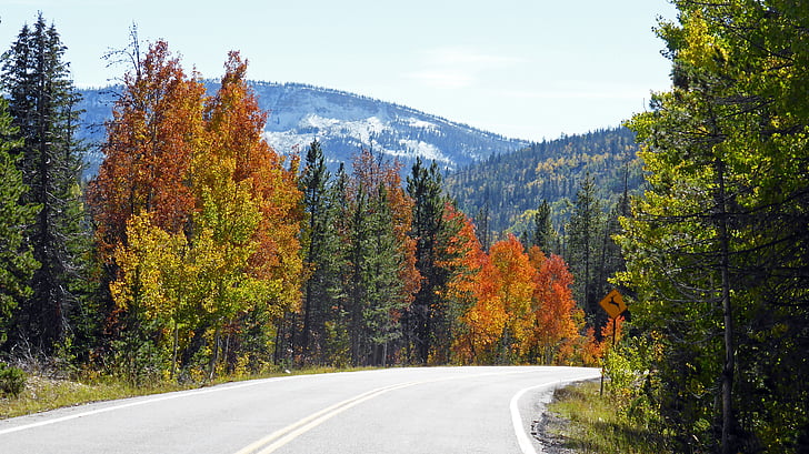warna musim gugur, Jalan Raya, pemandangan, gurun, pemandangan, alam, liar