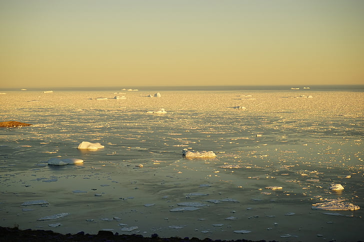 Groenland, glace, icebergs, mer, région polaire, glaces éternelles