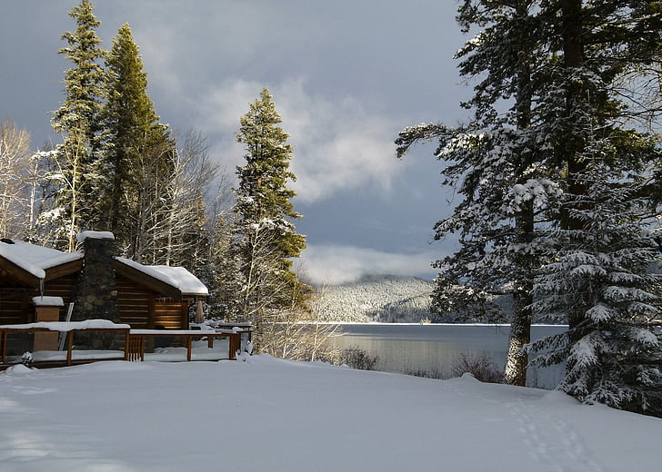 зимни, декори, canim езеро, Британска Колумбия, Канада, сняг, времето