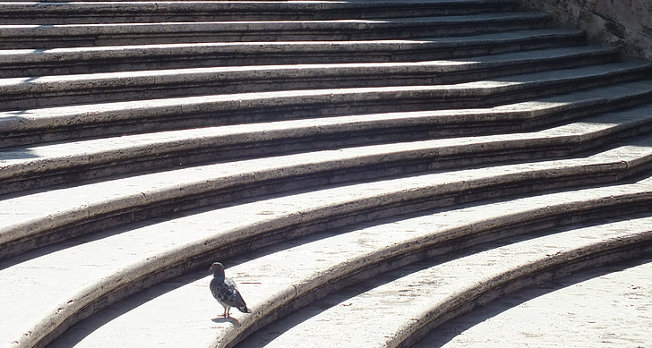 스페인 광장, 비둘기, 로마, 계단, 계단, 고 대, 로마