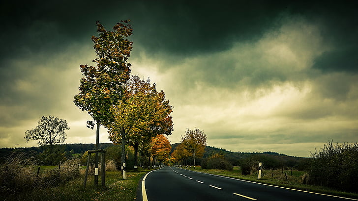 Осінь, дорога, дерева, листя, Асфальт, проспект, кривій дорозі