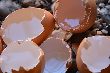 tuščias, kiaušinių lukštai, calium