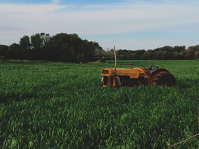 tractor, field, agriculture, farm, agricultural, rural, farming