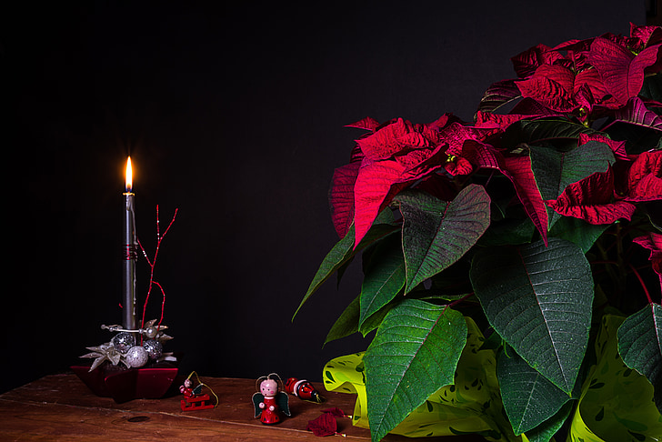 Božić, svijeće, plamen, svjetlo, mrtva priroda, vosak svijeća, dekoracija