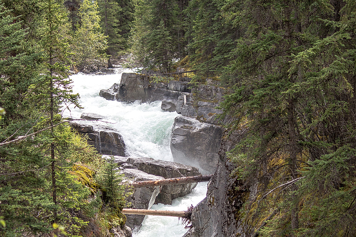 jõgi, Rapids, Maligne, jõgi, Jasper, Alberta, looduslike