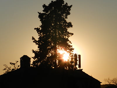 pod światło, zachód słońca, drzewo