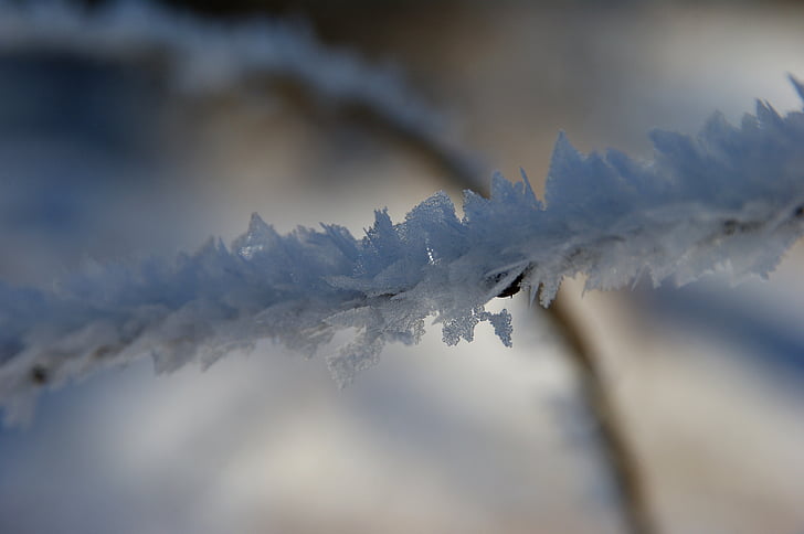 Frost, vinter, vinter magi, Ice, frosne, sne, kolde - temperatur