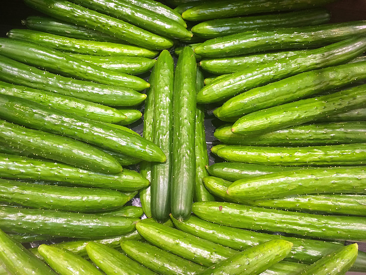 cucumber, green, vivid, vegetables, department, department store, saikaya