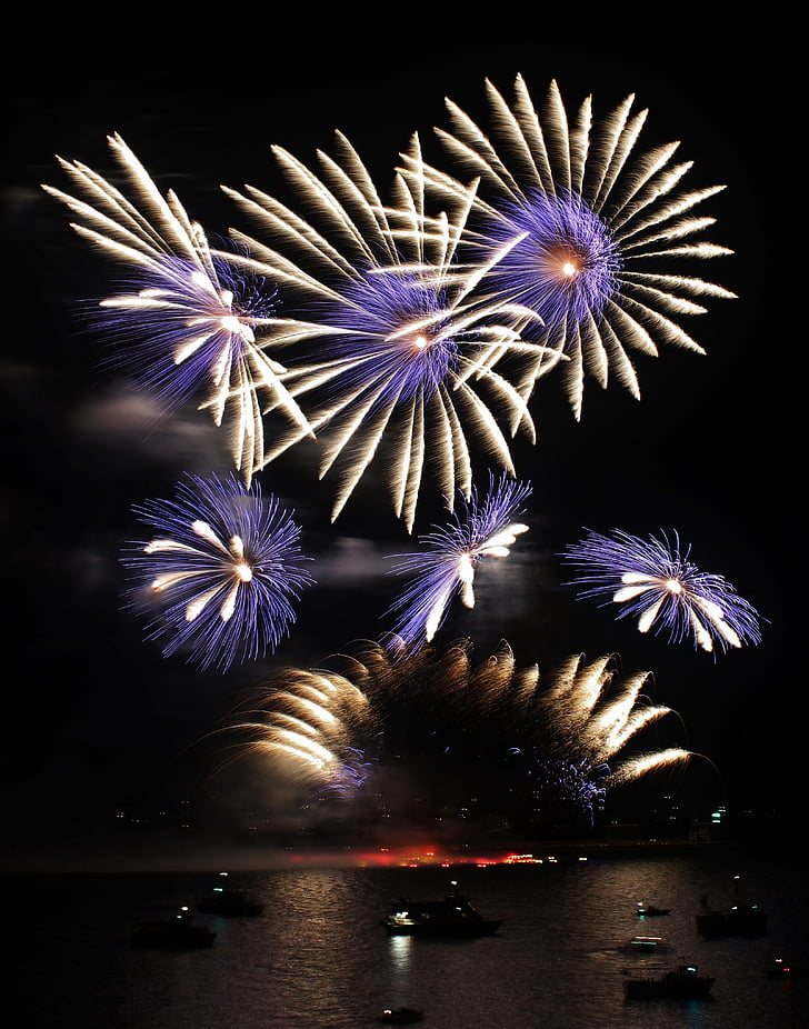fireworks, bang, november, reflection, flower, celebration, black background