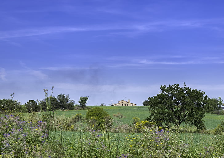 prairie, house, field, green, nature, landscape, spain