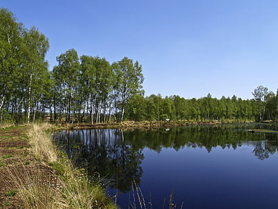 močiar, breza, prírodná rezervácia, Moor, rašeliniská, vody, rybník
