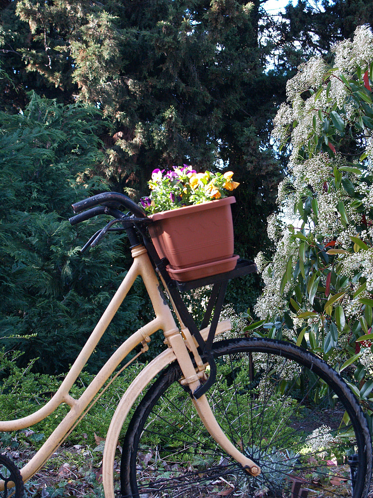 dviratis, gėlės, vaizdingas, dviratis, vasaros, krepšys, laimingas