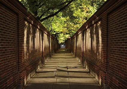 natural, synthesis, brick, light, road, during the day, built structure