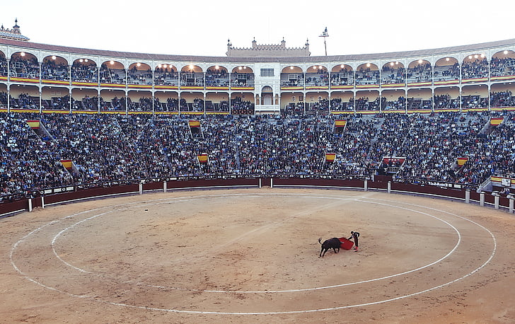 course de taureaux, torero, corrida, Arena, lutte contre le, Espagne, Madrid