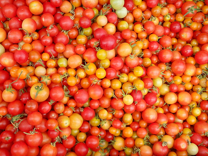 tomatid, toidu, puu, taimne, jahu, tomat, terve