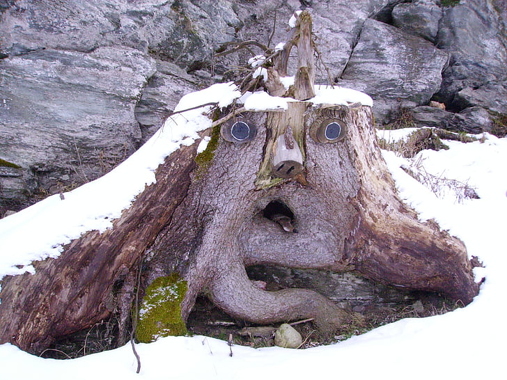 root face, baumstumpfm face, tree, winter, nature