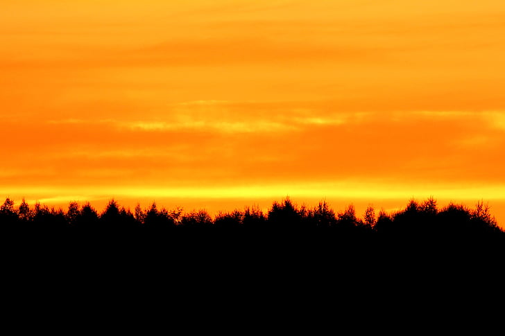 silueta, strom západ slunce, krajina, večerní obloha, Afterglow, stromy, Západ slunce