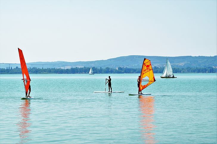 windsurfing, water sport, sail, summer, lake, balaton, fun